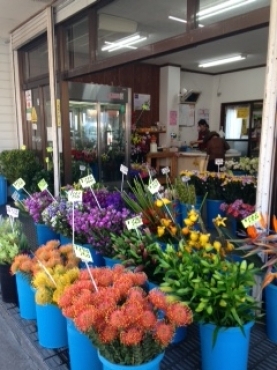 「ナガサキ屋」　（鹿児島県姶良市）の花屋店舗写真1